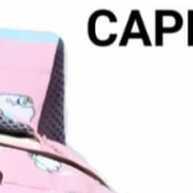 praticidade-e-estilo-capivara-mochila