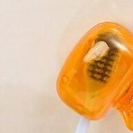 Protetor de Escova Dental: Higiene e Praticidade! - imagem 1