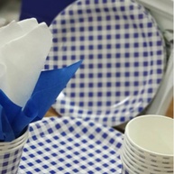 Prato Biodegradável Junino Azul: 10 Unidades - imagem 1