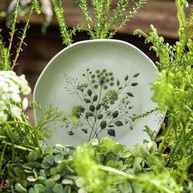 Conjunto com 6 Pratos de Sobremesa Orgânico Ammi - Porto Brasil | Seguro e Elegante para o Dia a Dia - imagem 3