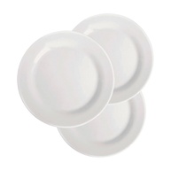 Pratos Rasos Nadir Opaline: Elegância em 24 Peças - imagem 1
