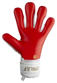Luva Reusch Attrakt Freegel Silver 9: Domine o Jogo com Proteção e Precisão - imagem 5