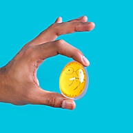 Timer de Cozimento para Ovos Oikos – Prático e Preciso - imagem 2