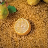 Limão em Pó Premium Ca.Nuts (500g) - imagem 4