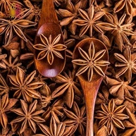 Anis Estrelado Premium | Ca.Nuts | Linha premium de Especiarias (100g) - imagem 3