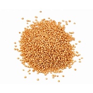Amaranto Grãos Premium 500g Wenutri - imagem 3