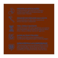 premium-nutricao-racas-pequenas-supreme-quatree