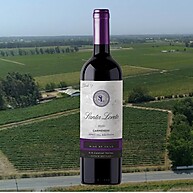 premium-sabor-chileno-santa-750ml-loreto-carmenere