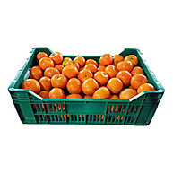Caixa Plástica Hortifruti: Organize e Preserve! - imagem 2