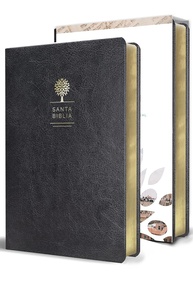 preta-biblia-grande-manual-1960-em-simil-letra-tamanho-reina-valera-pele-a