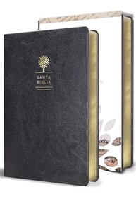 preta-pele-a-biblia-reina-manual-simil-valera-grande-em-letra-1960-tamanho-a