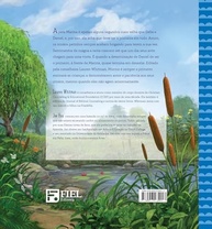 primeira-irmaos-e-sempre-e-para-paciencia-de-a-marina-amor-a-licoes-a