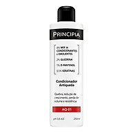 Principia Antiqueda: Crescimento & Volume! - imagem 1