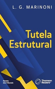 Tutela Estrutural: Desvendando o Processo e a Efetividade dos Direitos Fundamentais - imagem 2