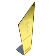 Placa Dermatologia Escultura Estatueta Símbolo Profissão Dourado - Presente Elegante para Dermatologistas - imagem 4
