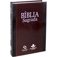profunda-atualizada-e-clara-almeida-para-sagrada-maior-a-naa-leitura-letra-biblia-nova-a