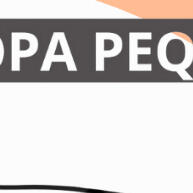 Kit 2 Caminhas para Cachorro Pequeno: Europa + Iglu na Promoção - imagem 2