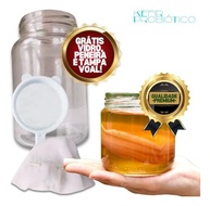 Scoby Kombucha Pronta Vidro 250ml + Kefir + Manual + Livro Receitas Cortesia - imagem 3