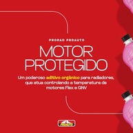 prorad-completa-1l-e-protecao-a-radiador-aditivo-superaquecimento-proauto-contra-corrosao-a