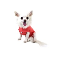 Roupa Pós-Cirúrgica Pet: Conforto & Proteção - imagem 2