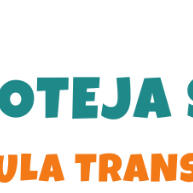 Protetor Anti Arranhão: Móveis Salvos dos Pets! - imagem 1