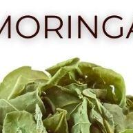 Chá Moringa: 3x Mais Saúde Pura! - imagem 2