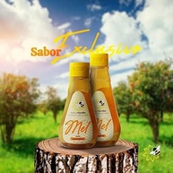 Mel Laranjeira Puro de Abelha 100% Natural - Bisnaga 500g - imagem 4