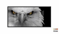 Quadro Decorativo Águia 130x60cm com Moldura Preta - Estilo Moderno para Sala, Escritório e Quarto - imagem 4