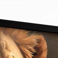 Quadro Leão com Filhotes 110x80cm - Decoração de Parede - imagem 1
