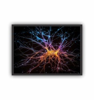 Quadro Decorativo Psicologia Neurônio - Design Científico A3 (45x33cm) para Ambientes Inteligentes - imagem 1