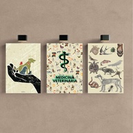 Kit 3 Quadros Decorativos para Consultório de Medicina Veterinária - Design Profissional - imagem 1