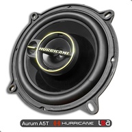 Alto Falante 5" Aurum A5T: Potência e Qualidade! - imagem 2