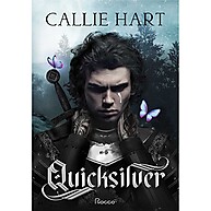 Quicksilver: A Saga Épica de Segredos e Magia - imagem 1