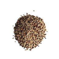 Quinoa Mista em Grãos 1Kg - imagem 1