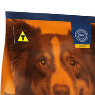Ração Special Dog Gold Life: Nutrição Completa para Cães Adultos 15kg - imagem 1