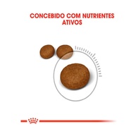 Royal Canin Hair Skin: Ração para Pelagem Radiante! - imagem 2