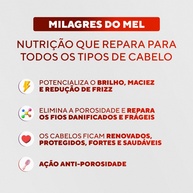 Óleo Reparador Milagres do Mel: Cabelos Radiantes! - imagem 2