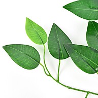 Fícus Artificial: Kit 8 Folhas Realistas 🌿 - imagem 1
