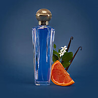 Shakira Dream Feminino 80ml – O Perfume que Inspira Realização - imagem 2