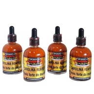 Molho De Pimenta Carolina Reaper Kit 4 Sem Glúten Mais Ardid - imagem 2