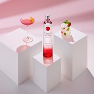 red-vodka-ciroc-berry-750ml