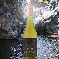 refrescante-chardonnay-vinho-750ml-chileno-picaron
