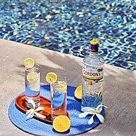 refrescante-classico-gin-e-gordons-sabor-750ml