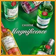refrescante-tanqueray-gin-e-citrico-700ml-sevilla