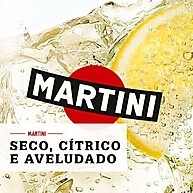 refrescante-vermute-martini-seco-750ml-e-dry-extra