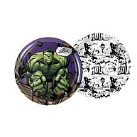 Kit Festa Hulk: Pratos e Copos Descartáveis Regina - imagem 2