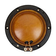 Reparo Selenium D400/D405: Potencialize seu Som! - imagem 1