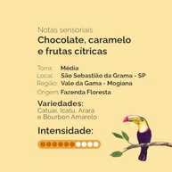 CAFE FAZENDA FLORESTA Café Fazenda Floresta Especial Reserva - Torrado Em Grãos 250G - imagem 3