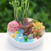 30 Peças Estatuetas de Jardim em Miniatura - Animais de Resina para Jardins de Fadas, Terrários e Artesanato DIY - imagem 5