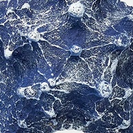 Ornamento Estrela do Mar em Resina Azul Escuro - Ocean Blue Decorglass - imagem 3